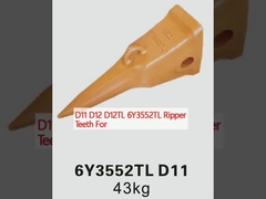 D11 D12 D12TL 6Y3552TL Δόντια Ανάκτορα για